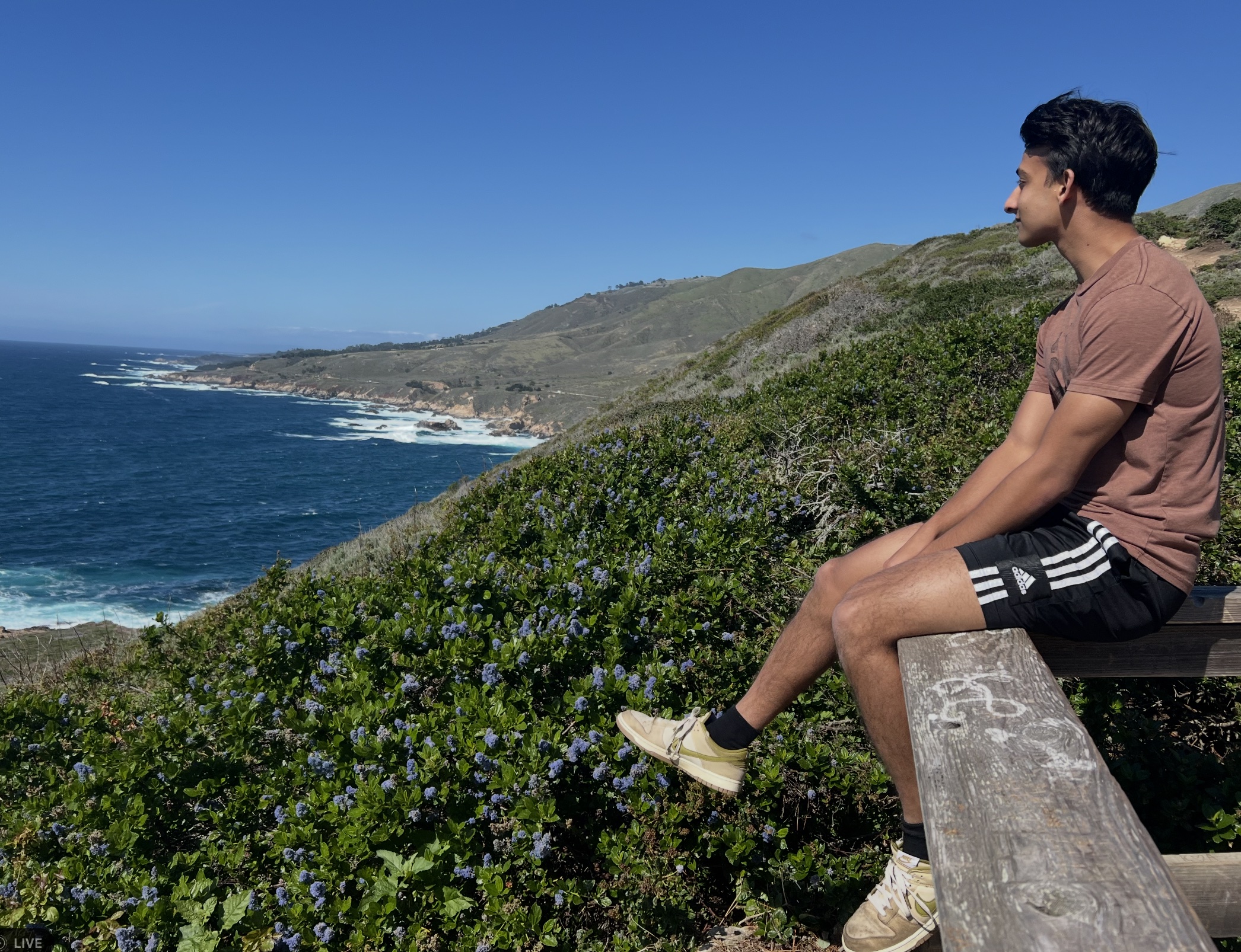 Anand looking out over the coastline