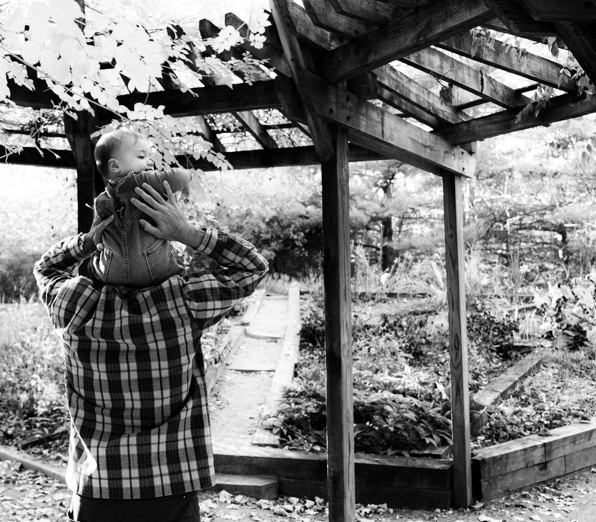 Black-and-white photograph of a child on their father’s shoulders under the pergola